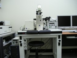倒立式雷射共軛焦顯微鏡