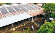 畜牧場邊養牛邊發電--屋頂的太陽能板 保障牛奶也保護用電