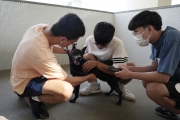 興大USR「寵物義診」通識課 收容所義診關懷犬貓NCHU USR 'Free Pet Clinic' general education course provides medical care and attention to dogs and cats in shelters.